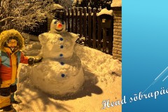 lumemees-14.02.25