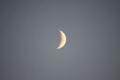 IMG_0229