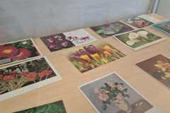 645561266_846049258440630_84302800607044492_n