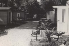 EPSON MFP image