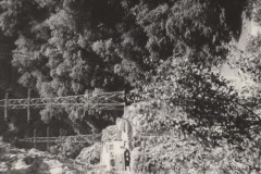 EPSON MFP image